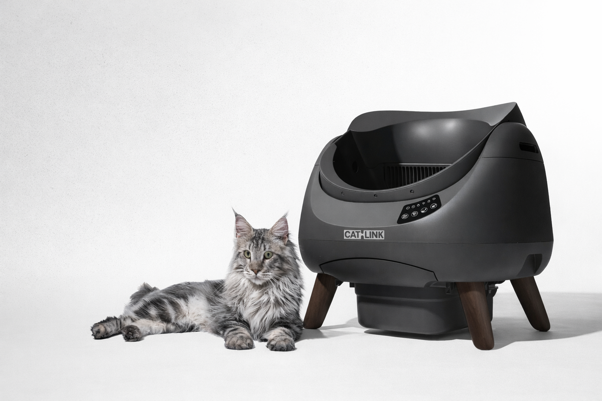 CATLINK OPEN X08 katt använder kattlåda