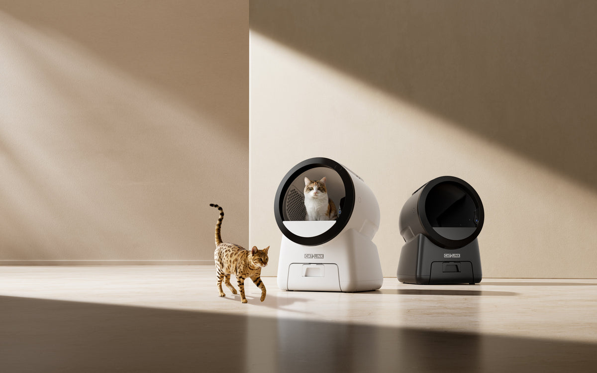 CATLINK C07 och OPEN X08 automatisk kattlåda hemma miljö