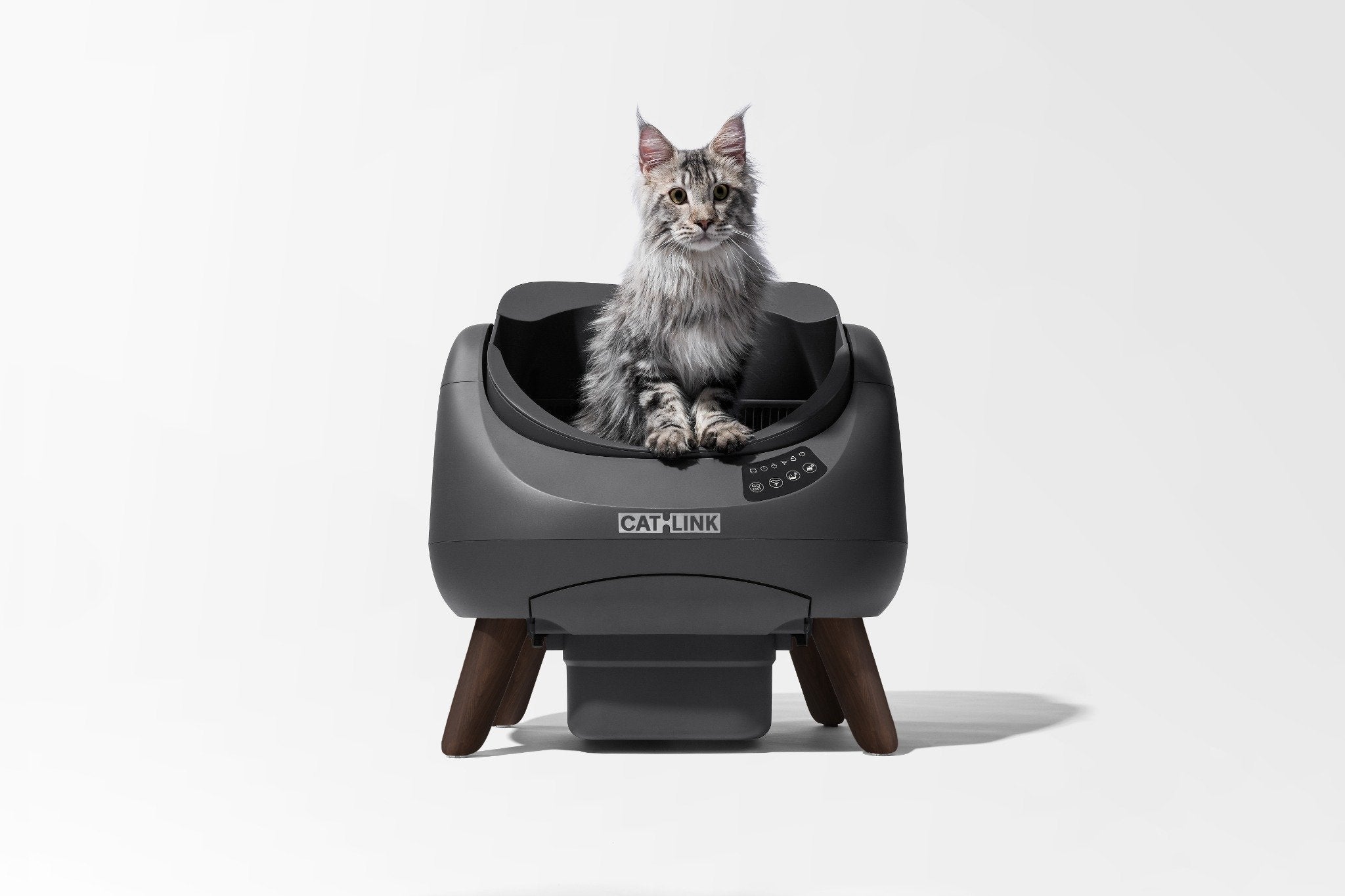 CATLINK OPEN X08 katt använder kattlåda