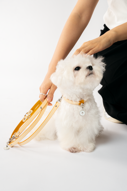 KAMA MUTA halsband och koppel i Mingsha Yellow