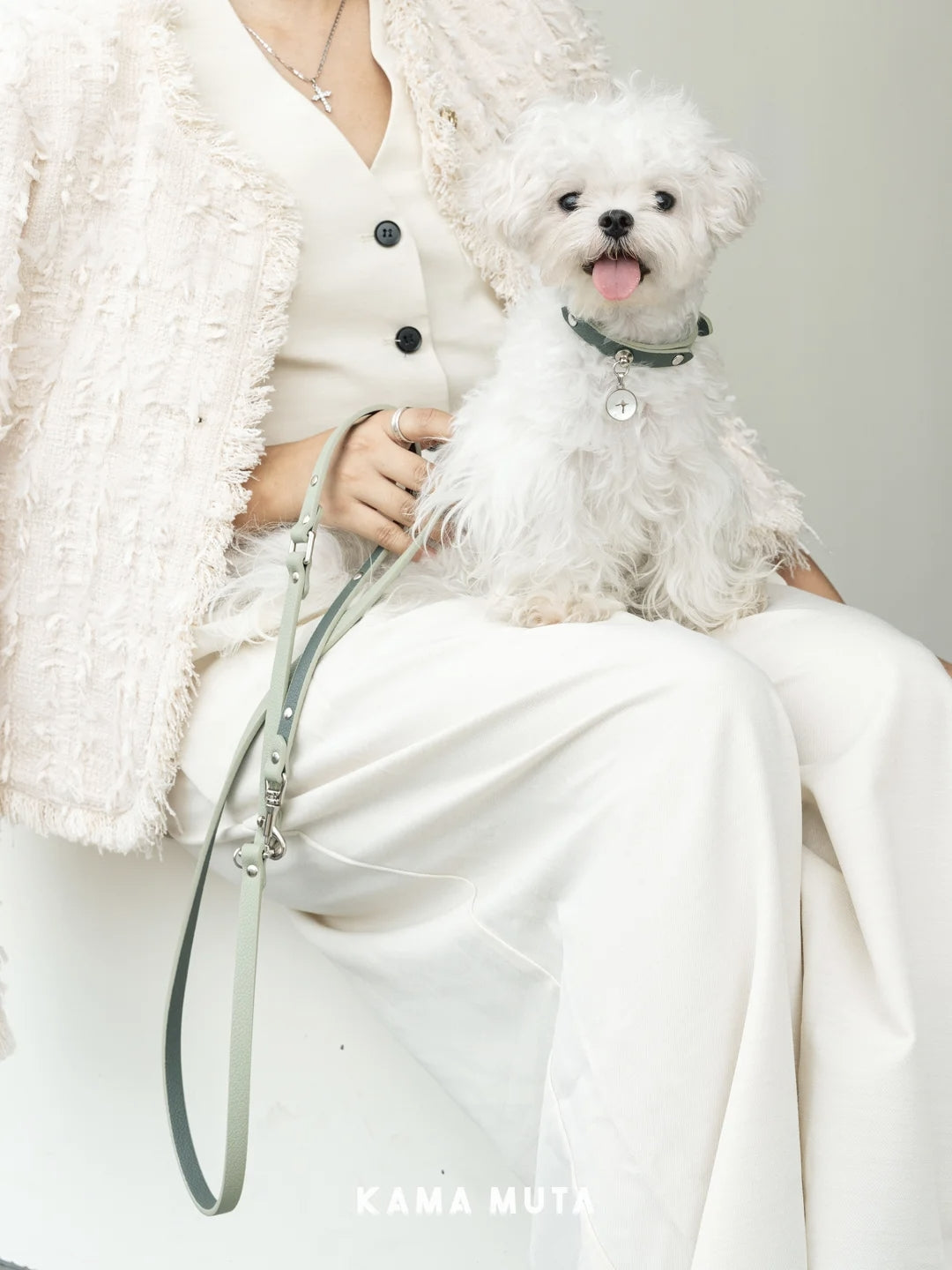 Liten vit hund med KAMA MUTA halsband i Yunhe Green