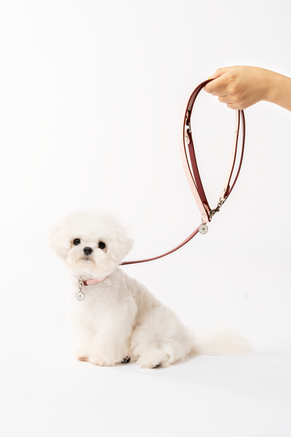 Liten vit hund med KAMA MUTA koppel i Ulan Pink