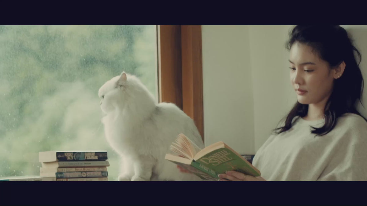 Ladda video: 